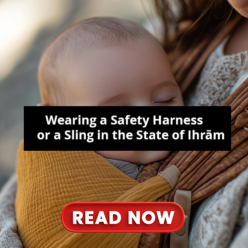 Wearing a Safety Harness
